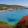 Spiaggia deserta con mare calmo, circondata da vegetazione verde e rocce.