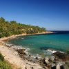 Una spiaggia rocciosa con mare blu e alberi.