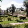 Un giardino con sentieri di pietra, piccoli alberi e siepi curate.