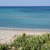 Spiaggia con sabbia chiara e mare turchese, cespugli verdi in primo piano.